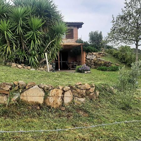 Maremma Che Vista! Apartman Campagnatico Kültér fotó