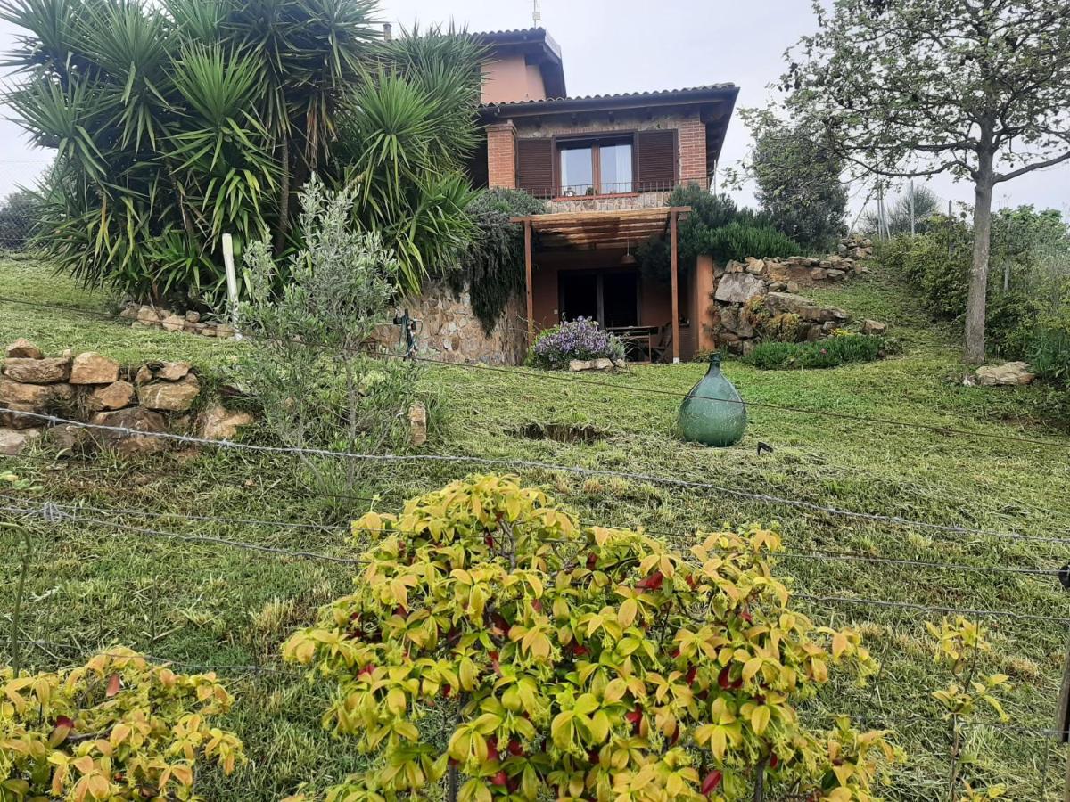 Maremma Che Vista! Apartman Campagnatico Kültér fotó