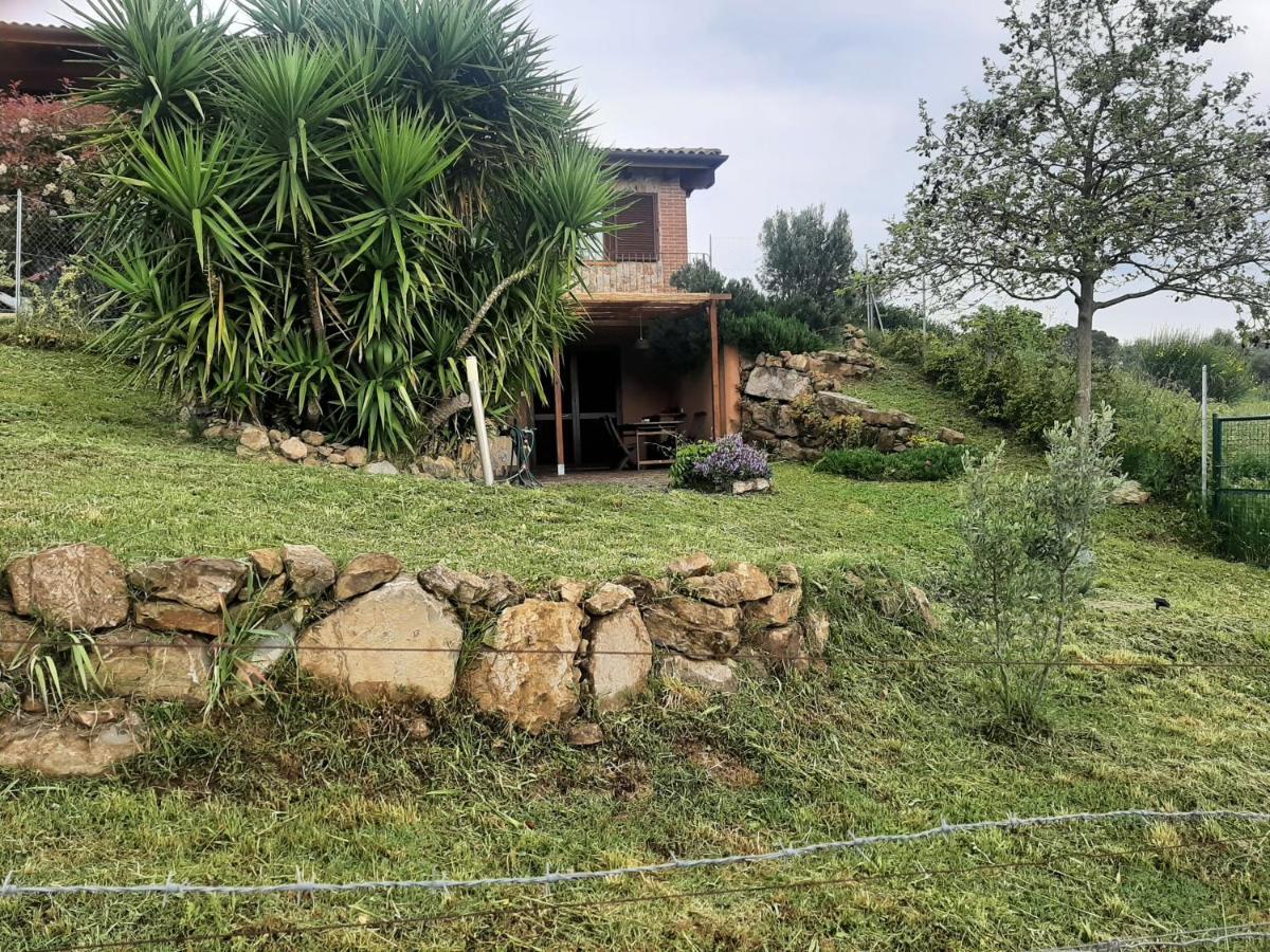 Maremma Che Vista! Apartman Campagnatico Kültér fotó