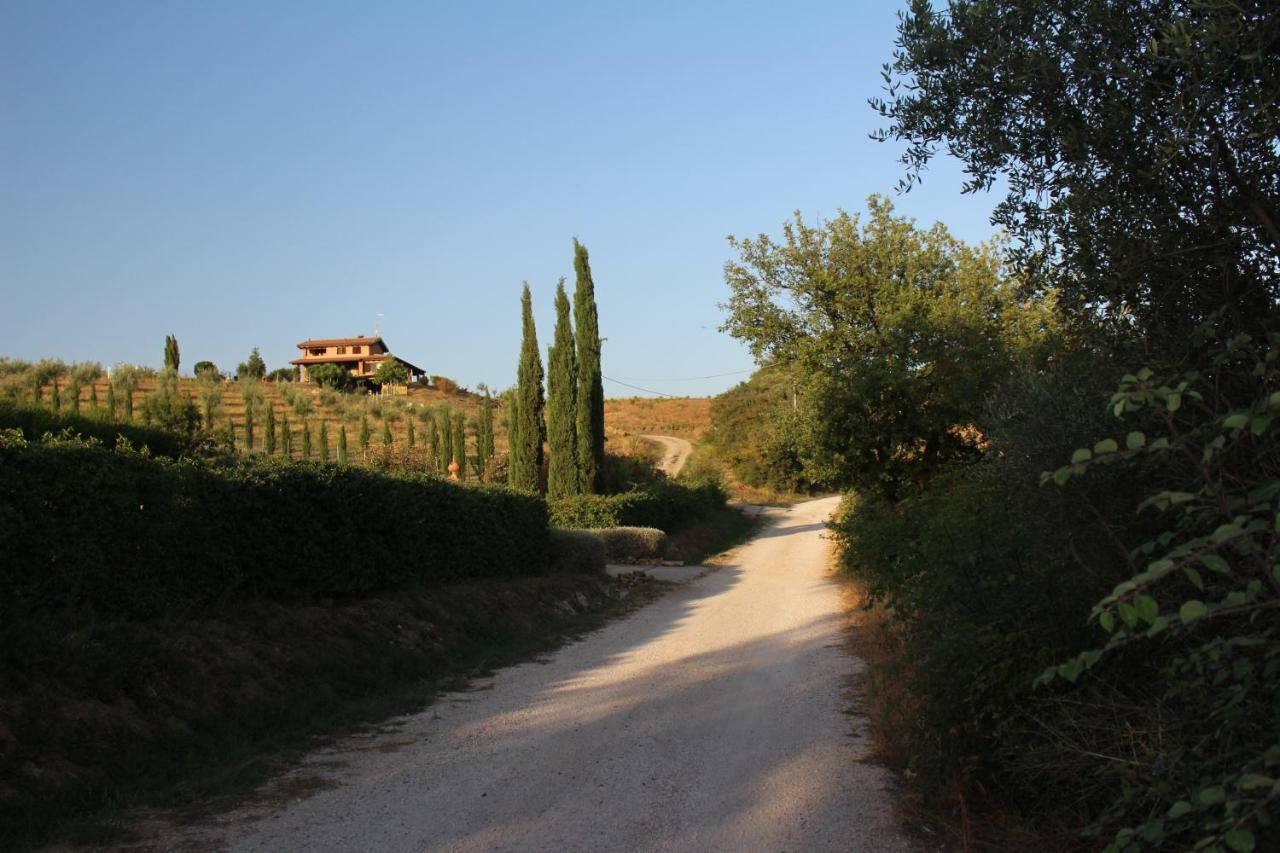 Maremma Che Vista! Apartman Campagnatico Kültér fotó