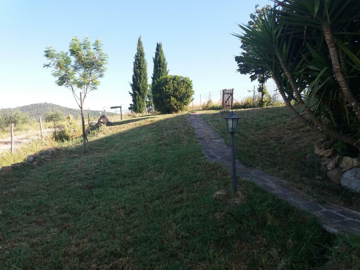Maremma Che Vista! Apartman Campagnatico Kültér fotó