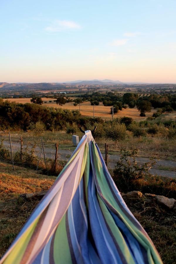 Maremma Che Vista! Apartman Campagnatico Kültér fotó