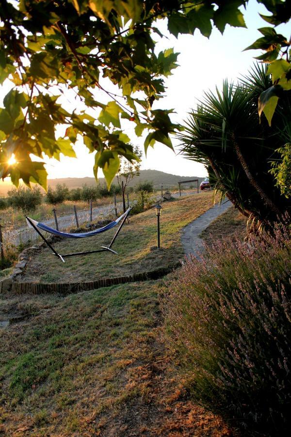Maremma Che Vista! Apartman Campagnatico Kültér fotó